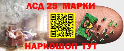 гидропоника Бердск