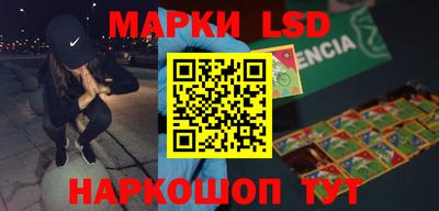 гидропоника Бердск