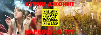 гидропоника Бердск