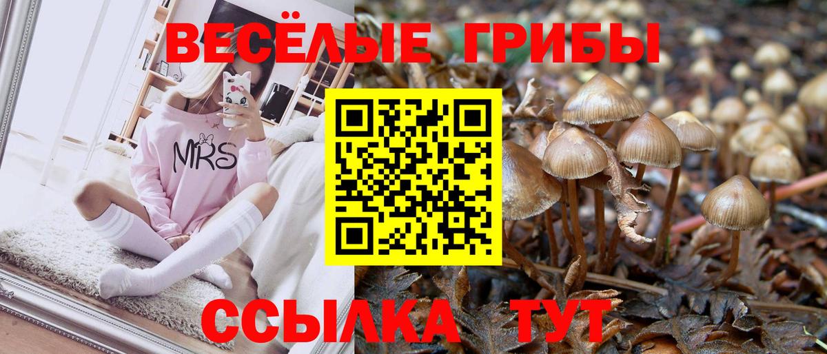 Псилоцибиновые грибы ЛСД  Псилоцибиновые грибы прущие грибы  Городец  Вход с VPN 